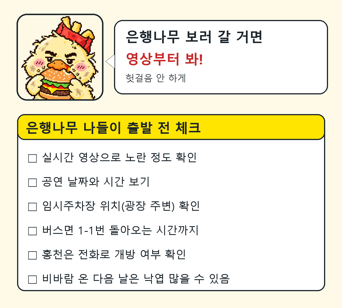 반계리 은행나무 홍천 은행나무숲 출발 전 체크리스트 6가지