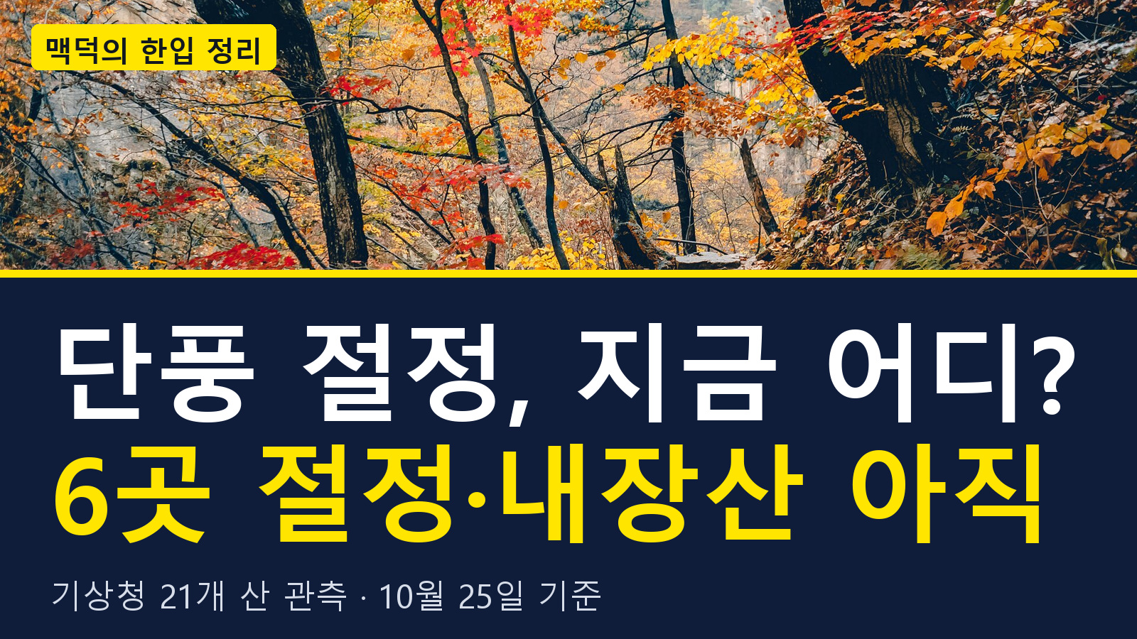 00_대표썸네일_워드프레스