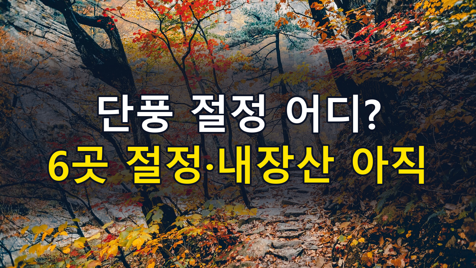 단풍 절정 어디? 6곳 절정·내장산 아직