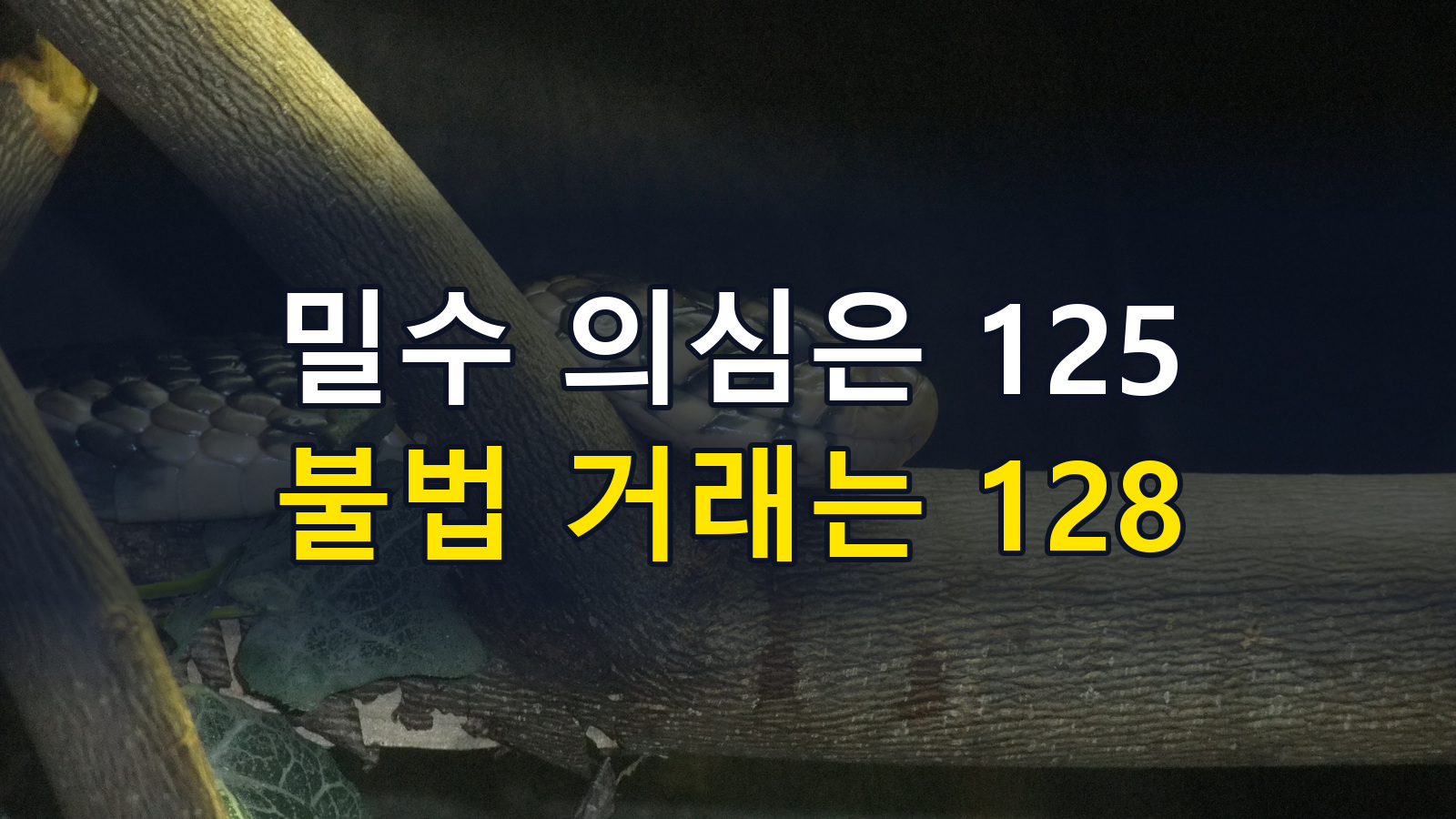 밀수동물·야생생물 불법 거래 신고 방법｜125·128, 포상금 조건과 공식 경로
